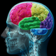 Image for article titled What's It Really Like To Have Your Pleasure Center Stimulated?